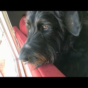 Meet your Posher, Erika